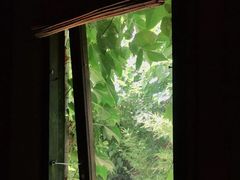 -斯多格书乡(北京大学畅春园店)