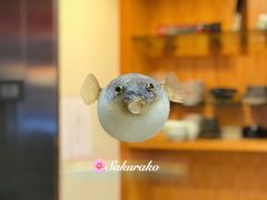 -天正河鲀·河豚亭(大连店)