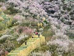 -龙泉峪长城