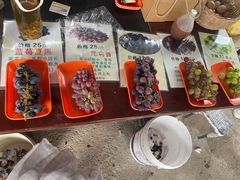 -马陆小张葡萄园农家乐