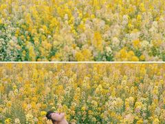 -中国天府农业博览园