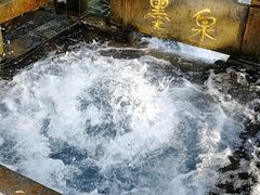 -百脉泉景区