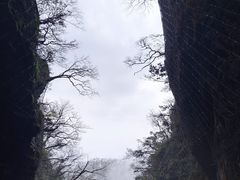 -张家界天门山国家森林公园