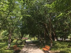 -阳澄湖半岛旅游度假区