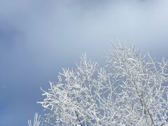 -长白山万达国际滑雪场