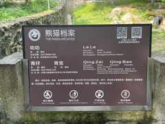 -都江堰中华大熊猫苑