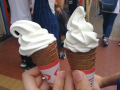 -富豪雪糕车流动点(尖沙咀店)