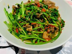 -壹盏灯(惠农店)