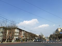 -北京稻香村(第十一店)