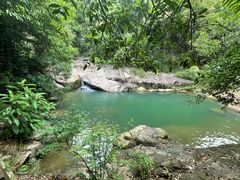 -广州白江湖森林公园