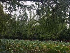 -四川大学(华西校区)