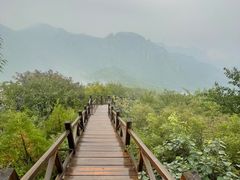 -大岭沟猕猴桃谷风景区