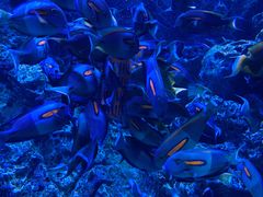 -成都浩海立方海洋公园