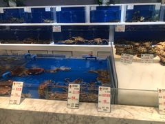 水产区-宝轩渔府·老字号海鲜·正宗津菜(水上店)
