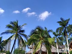 -三亚湾红树林度假世界(木棉酒店)
