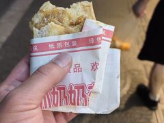 -孙奶奶葱包桧