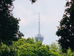 -成都市活水公园