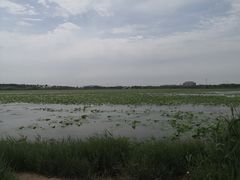 -天津东丽湖风景区