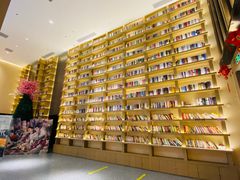 -深影国际影城(学院南路店CGS中国巨幕店)