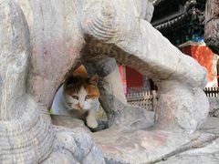 -大觉寺-停车场