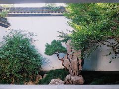 -杭州植物园
