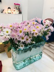 -Wake me容颜管理中心