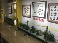 -上海昆虫博物馆