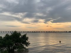 -宝安西湾红树林湿地公园