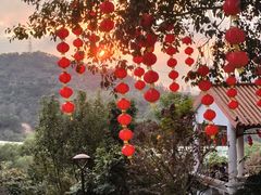 -深圳仙湖植物园