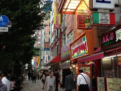-秋叶原电器街
