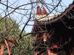-涂山寺素食餐厅