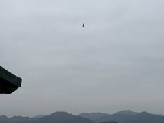 -杭州君悦酒店
