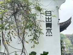 -日出青木