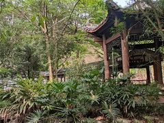 -水濂山森林公园