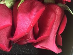 -BEAST野兽派(上海浦东嘉里城店)