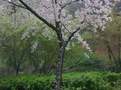 android_upload_pic-塘沽大剧院