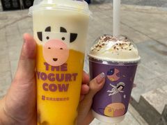 -一只酸奶牛(八一路店)