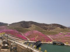 -威海华夏城景区