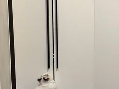 -瑞派紫金宠物医院24小时·骨科·中兽医·重症转诊中心(番禺大石院)