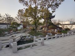 -上海滨江森林公园
