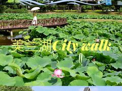 -美兰湖景区