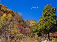 -秦岭风景区