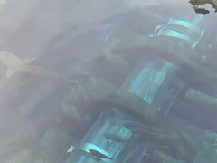 -亚特兰蒂斯水世界冒险乐园