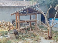 -石家庄市动物园