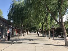 -张掖大佛寺景区