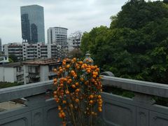 -厦门鸿山寺