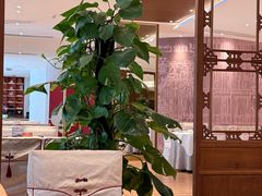 -松鹤楼(狮山永利广场店)