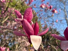 -白塘生态植物园