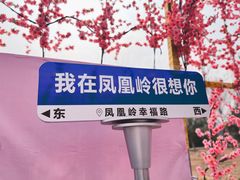 -北京凤凰岭