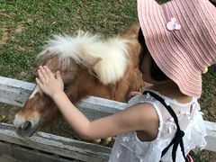 -清迈夜间动物园